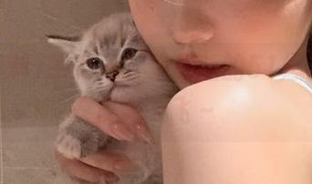 感受一下苹果版的51爆料，瓜皮满天飞～